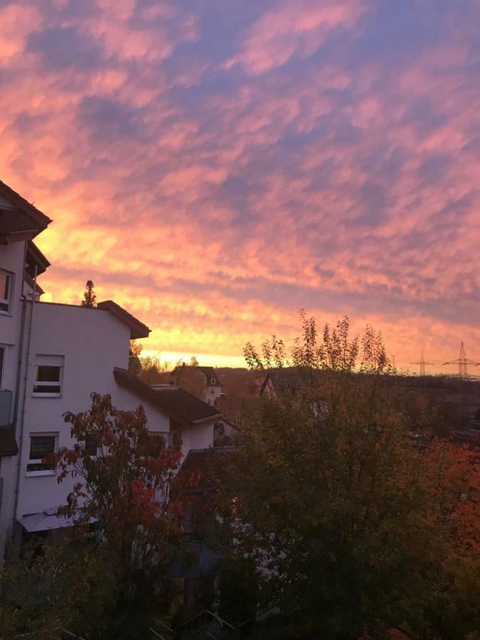 Kleine Wohnung Im Gruenen Dresden Exterior foto